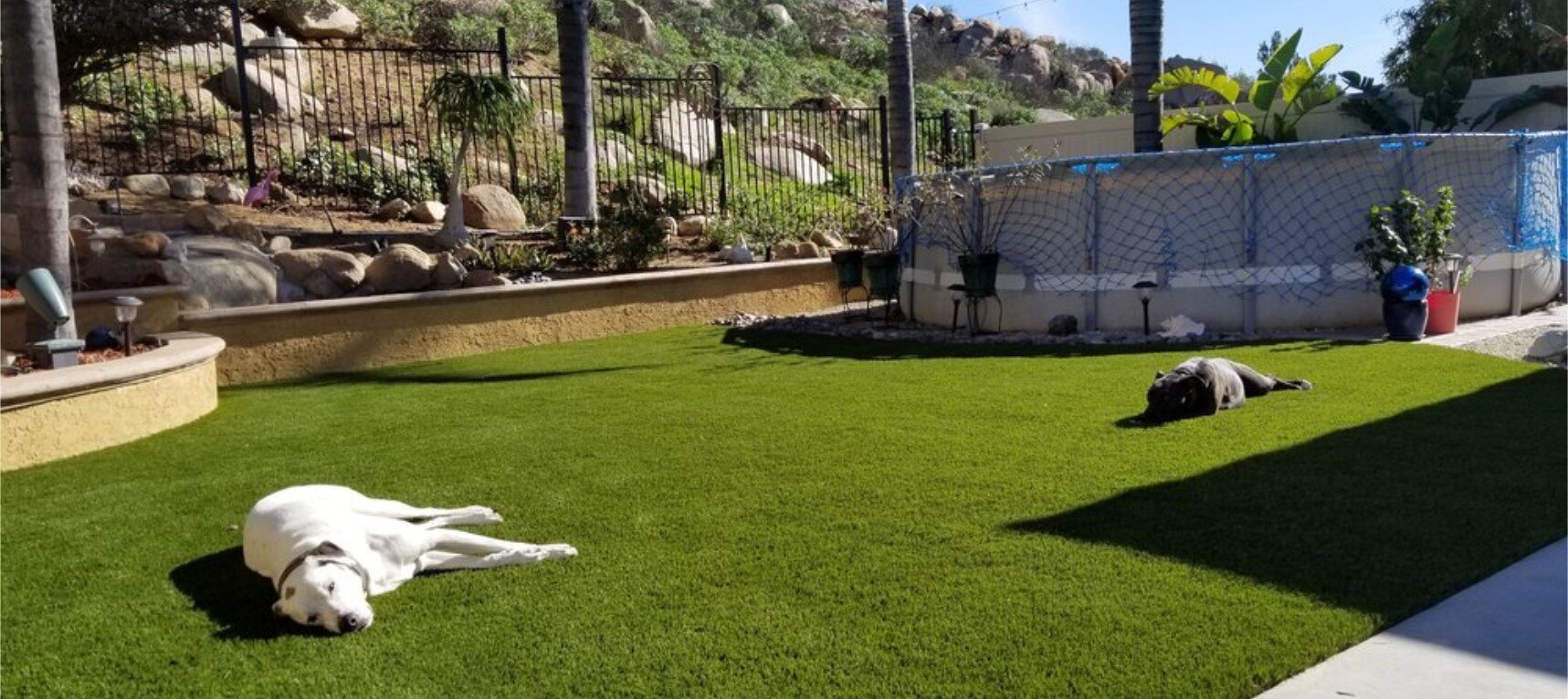 Pet Artificial Grass, La Mirada Artificial Grass