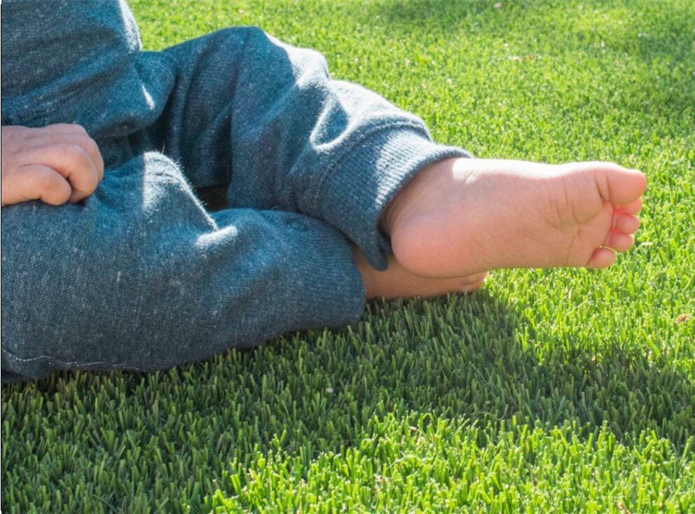 Artificial Grass Cleaning, La Mirada Artificial Grass