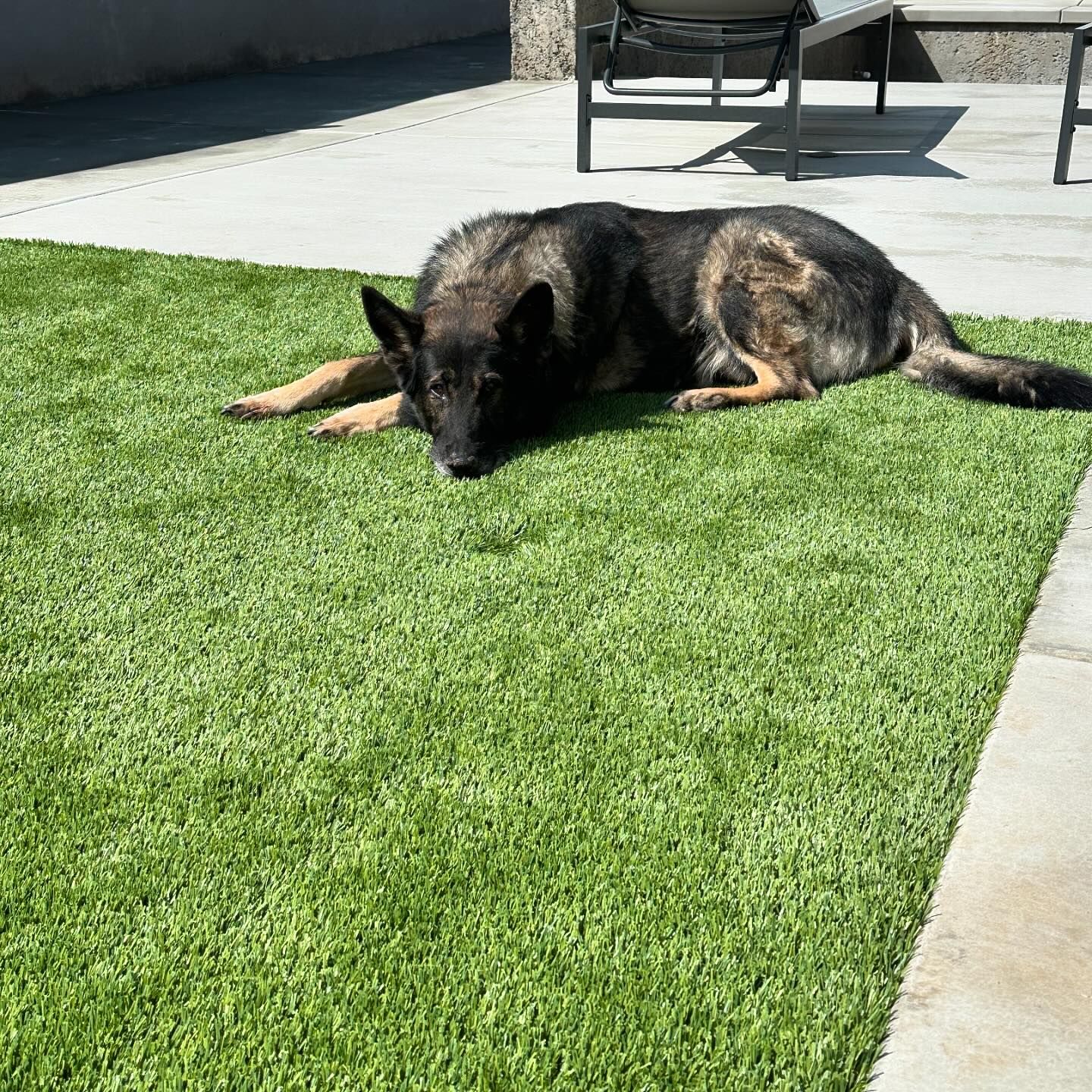 Artificial Grass Repairs, La Mirada Artificial Grass