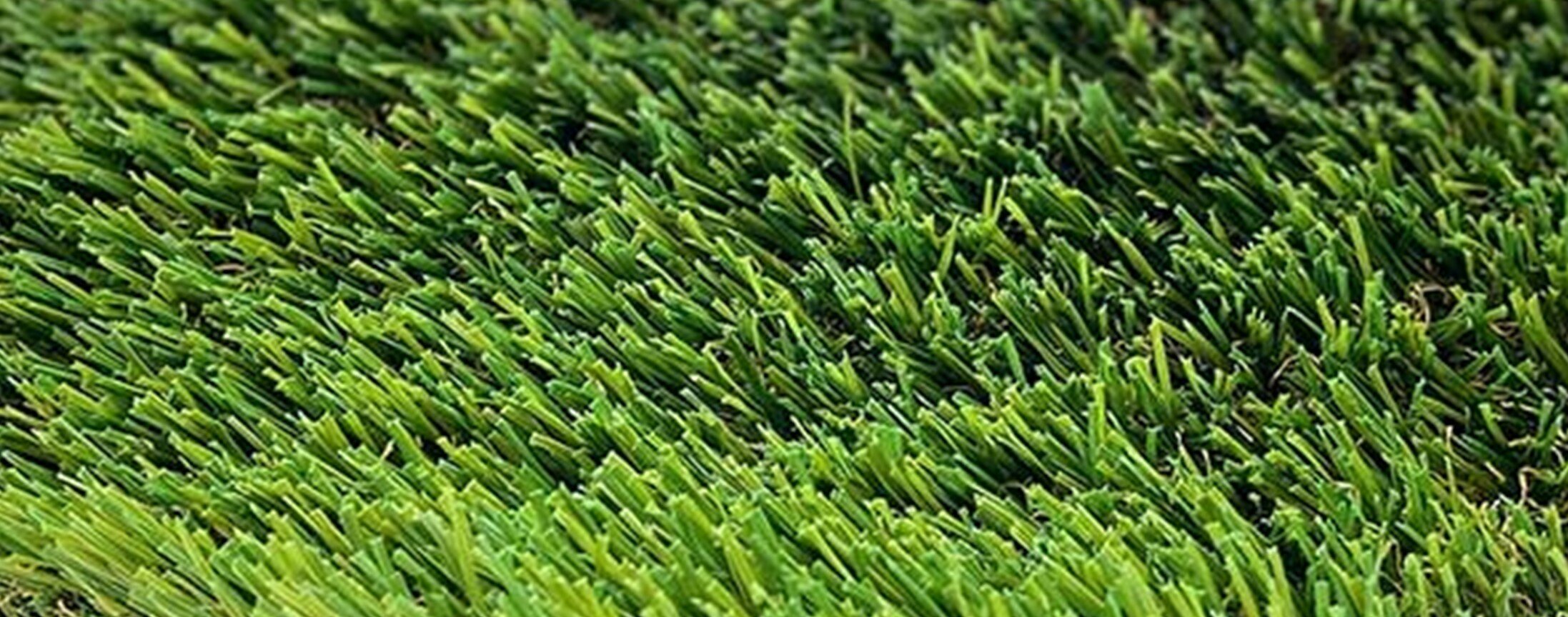 Emerald Ridge Artificial Grass for lawns, pet & fringe, La Mirada