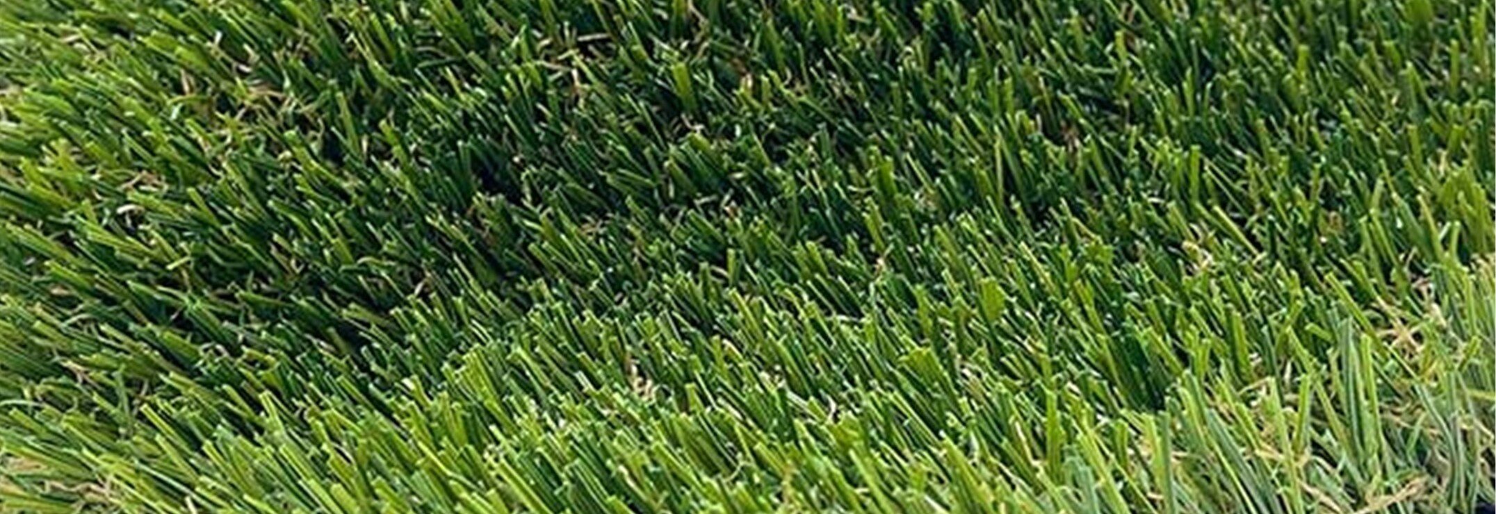 Pine Pro Artificial Grass for Landscapes & Pet Areas, La Mirada