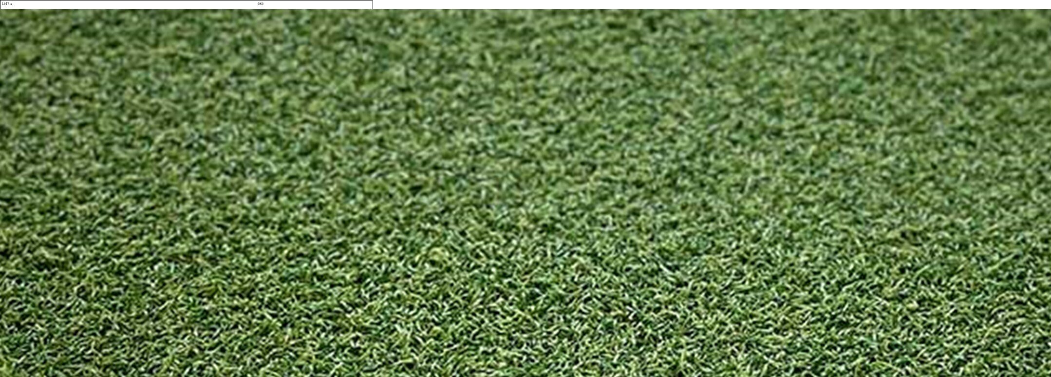 Xtreme Sports/Play Turf for Gyms & Sport Areas, La Mirada CA