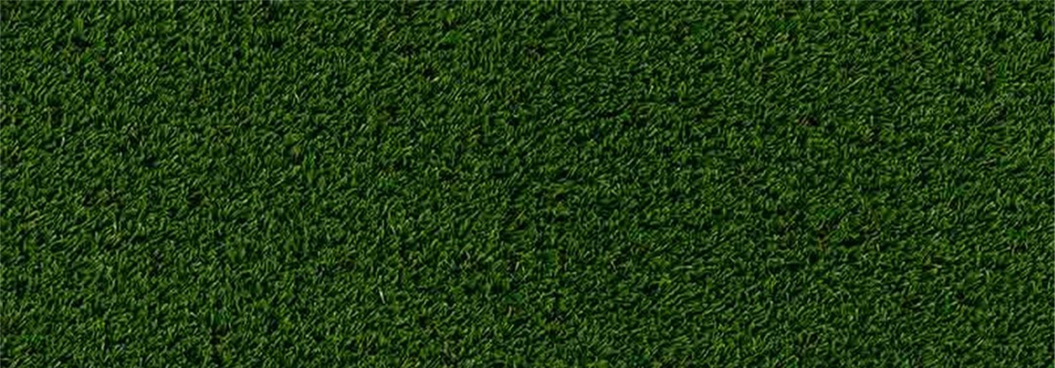 Oakmont Artificial Grass, La Mirada Artificial Grass