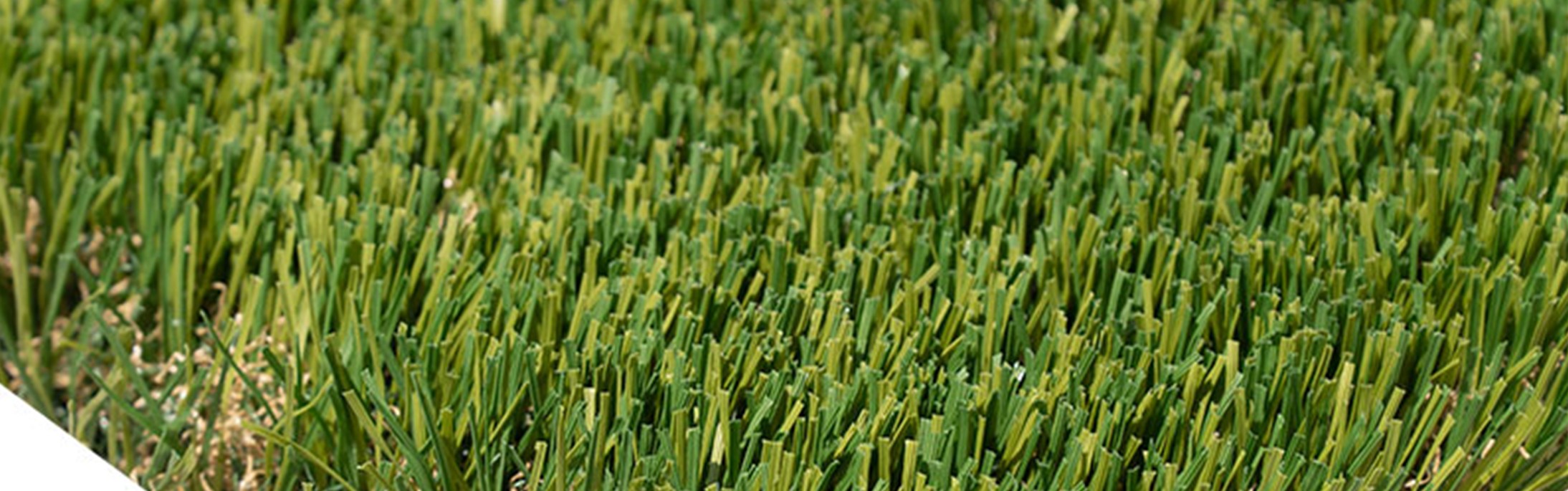 Oakmont Supreme Artificial Turf, La Mirada Artificial Grass